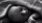 Harriet