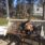 Weekend