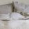 Sleepo