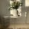 Spring light