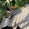 Garden Party