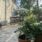 Garden Party