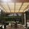 Projekt pergola