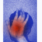 Child
