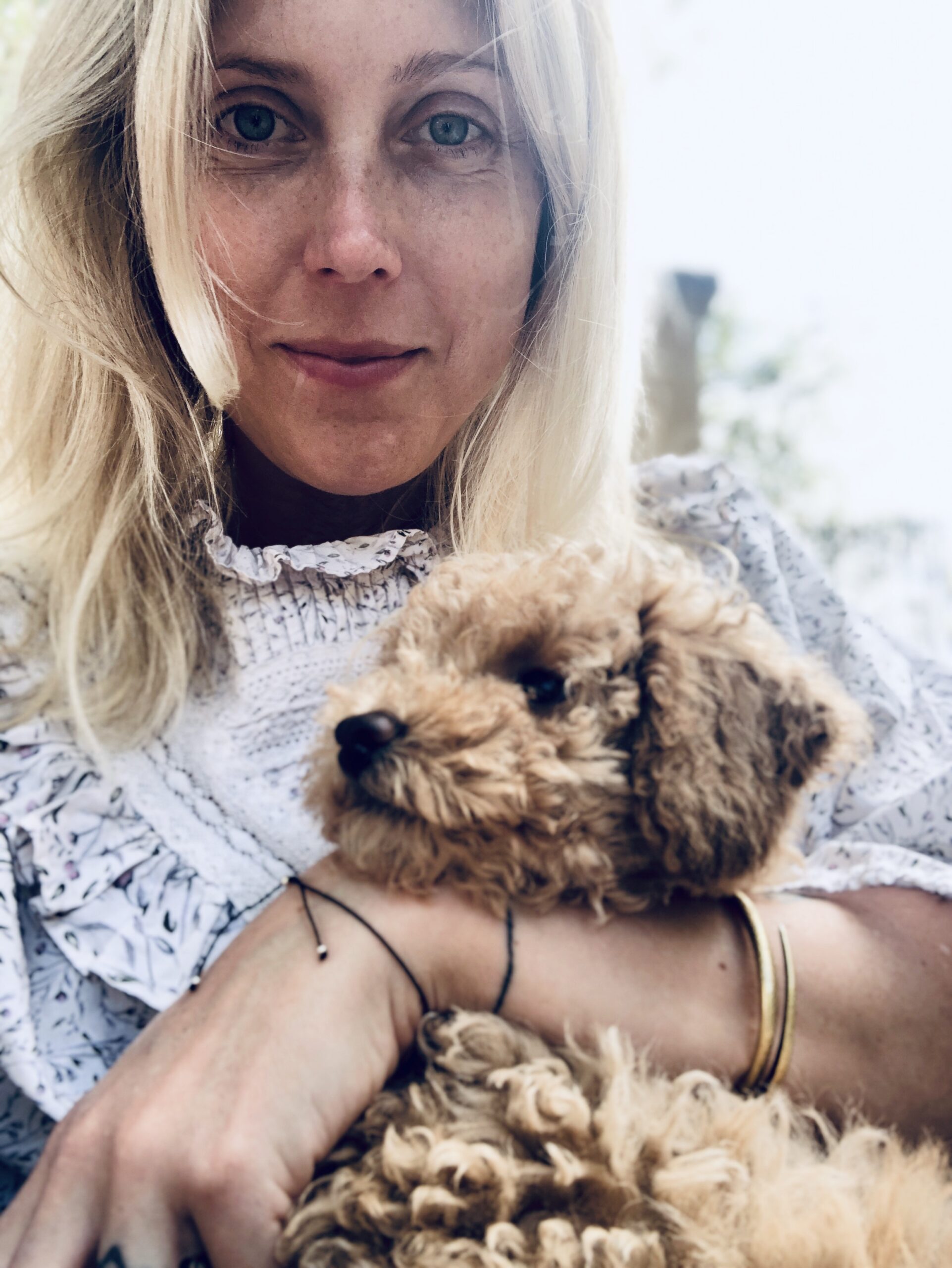 Teddy