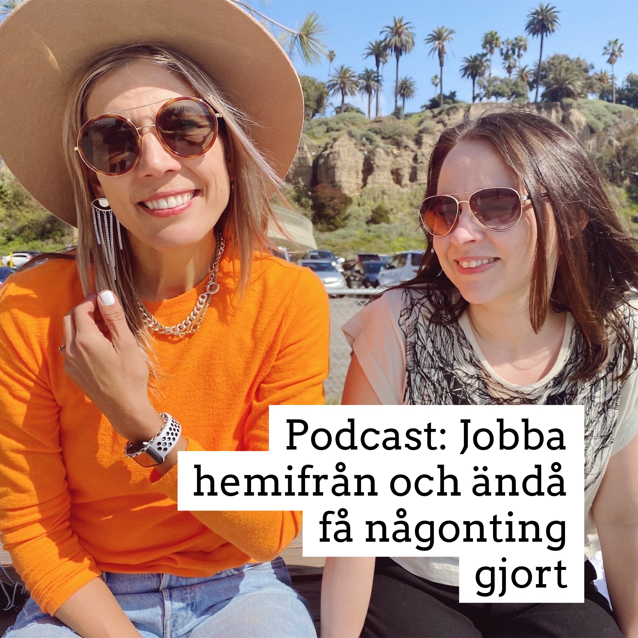 Jobba hemifrån (och ändå få någonting gjort)