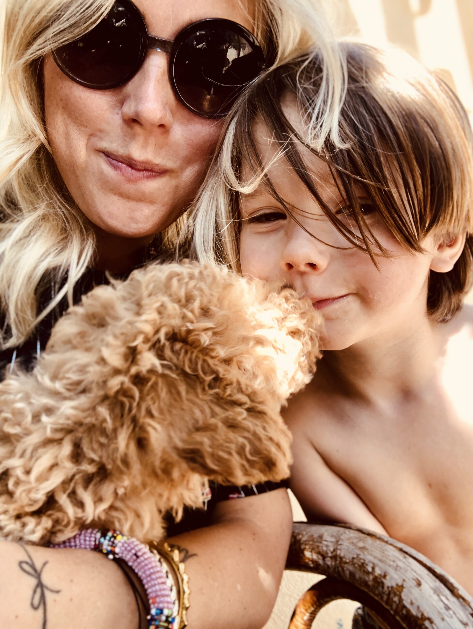 Teddy