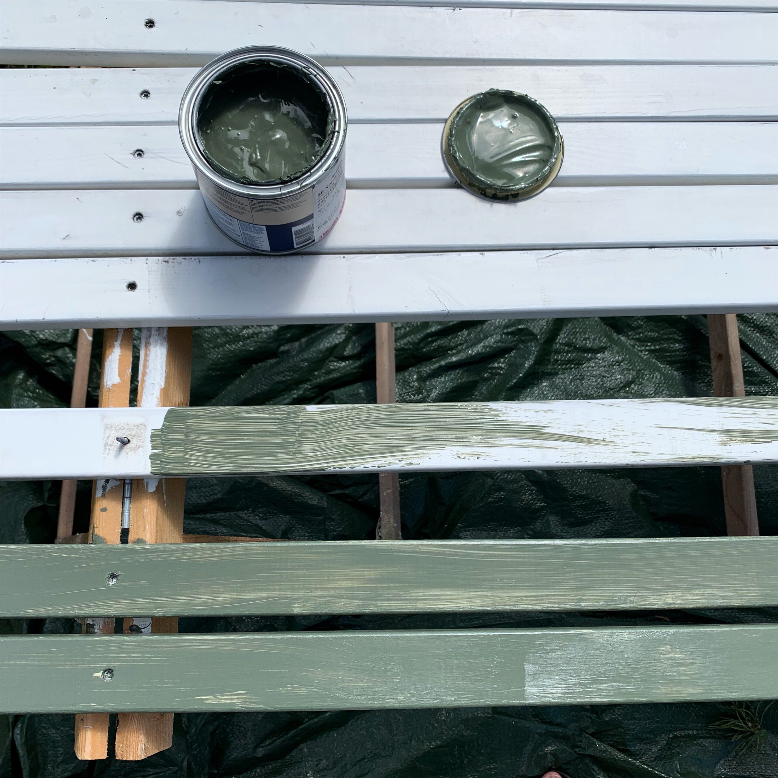Bench