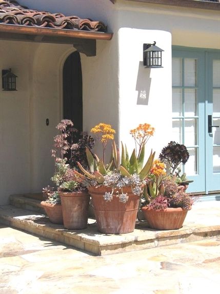 Mediterranean dreams