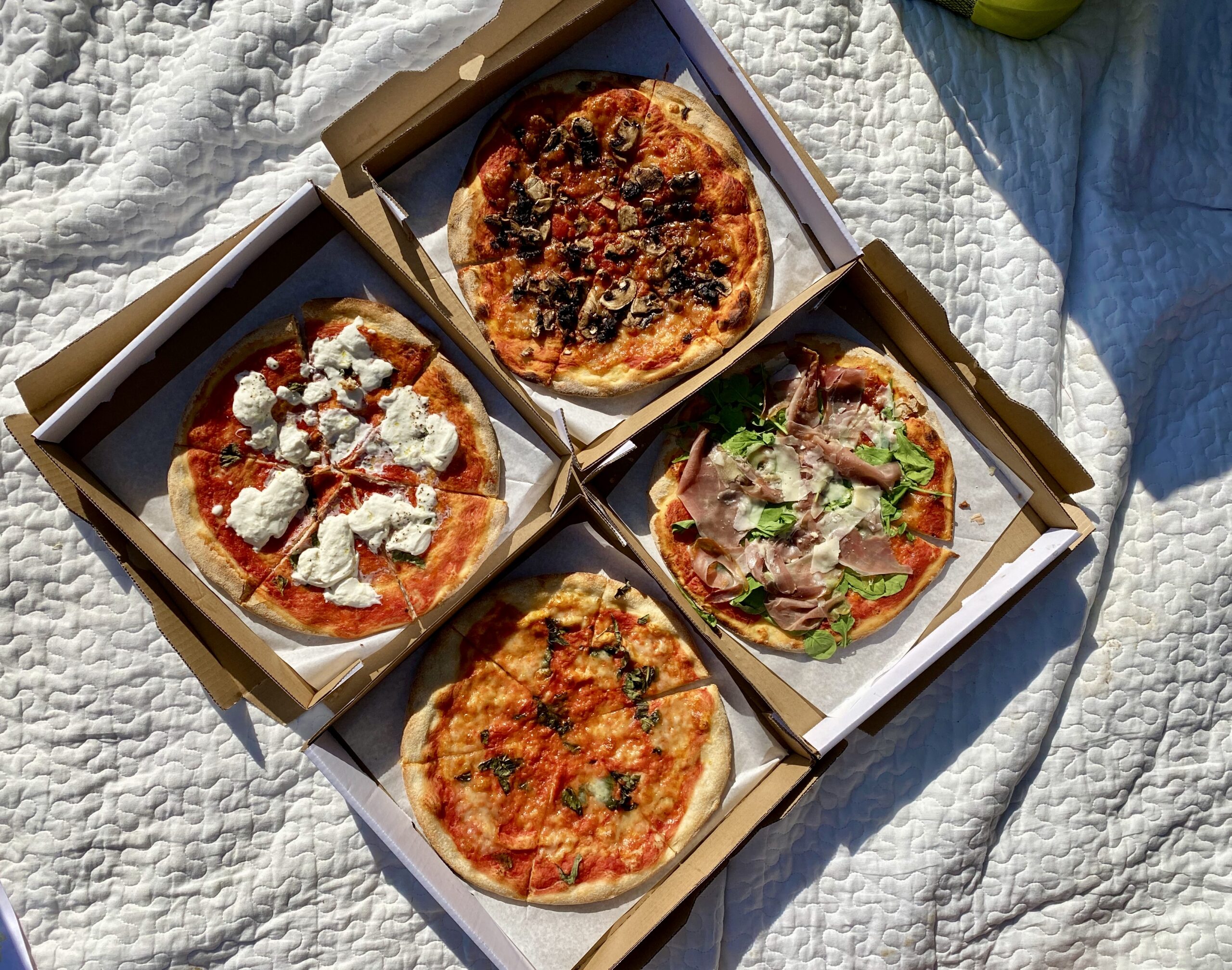 Picknick och pizza
