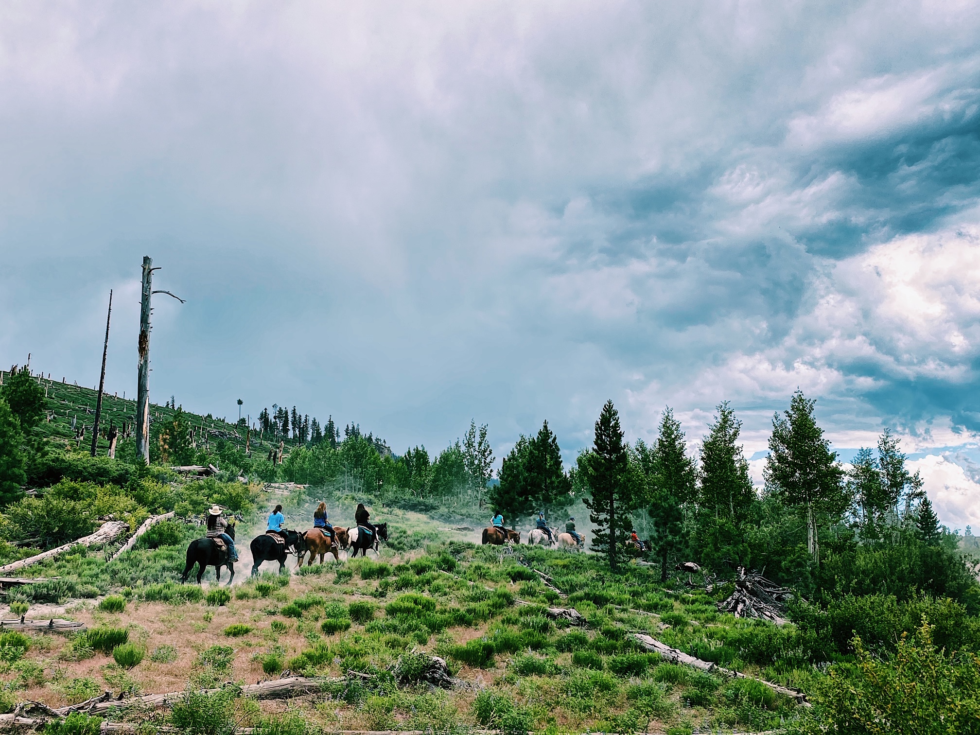 Fiska, cykla och vandra i Mammoth lakes