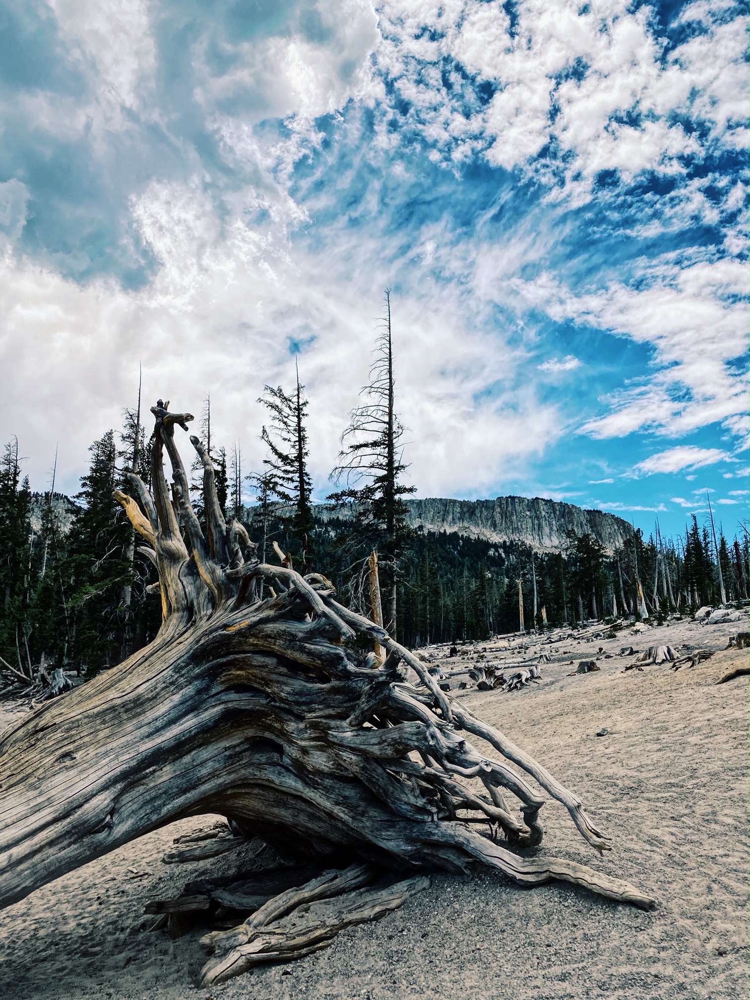 Fiska, cykla och vandra i Mammoth lakes