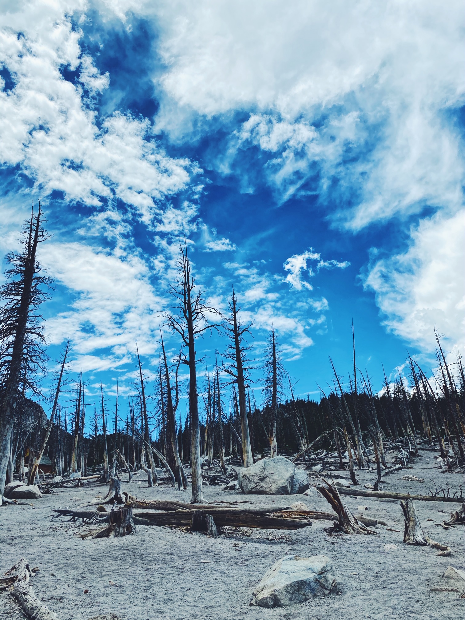 Fiska, cykla och vandra i Mammoth lakes