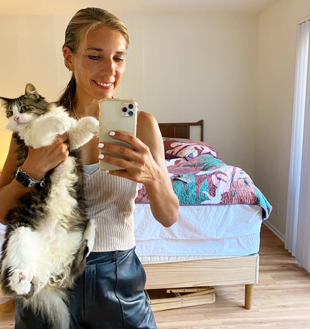 Försvunnen katt