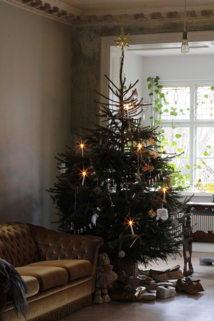 Tree inspo