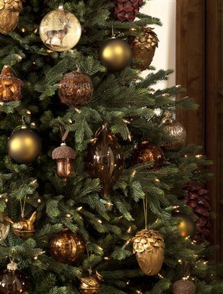 Tree inspo