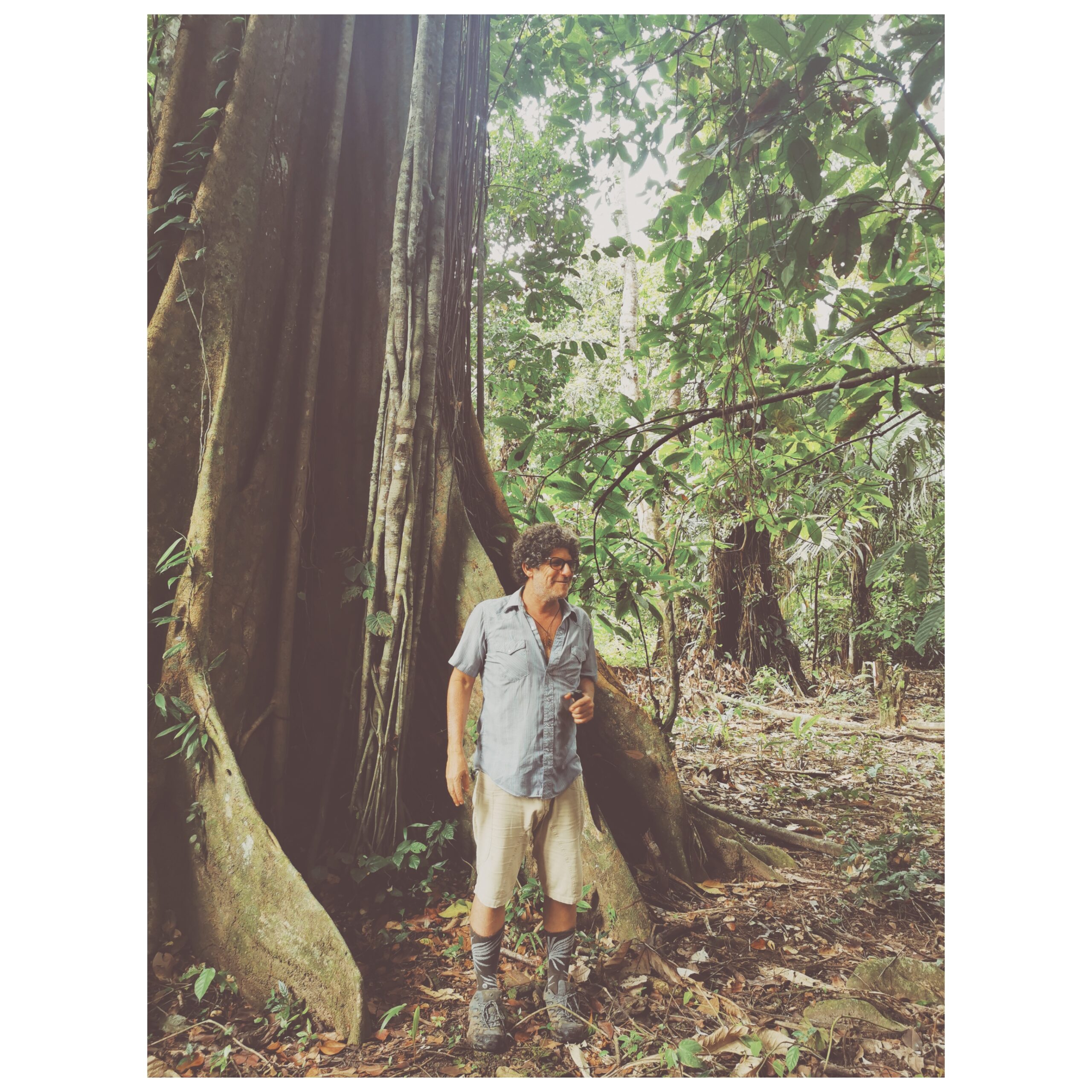 Jungle Mystic New Year