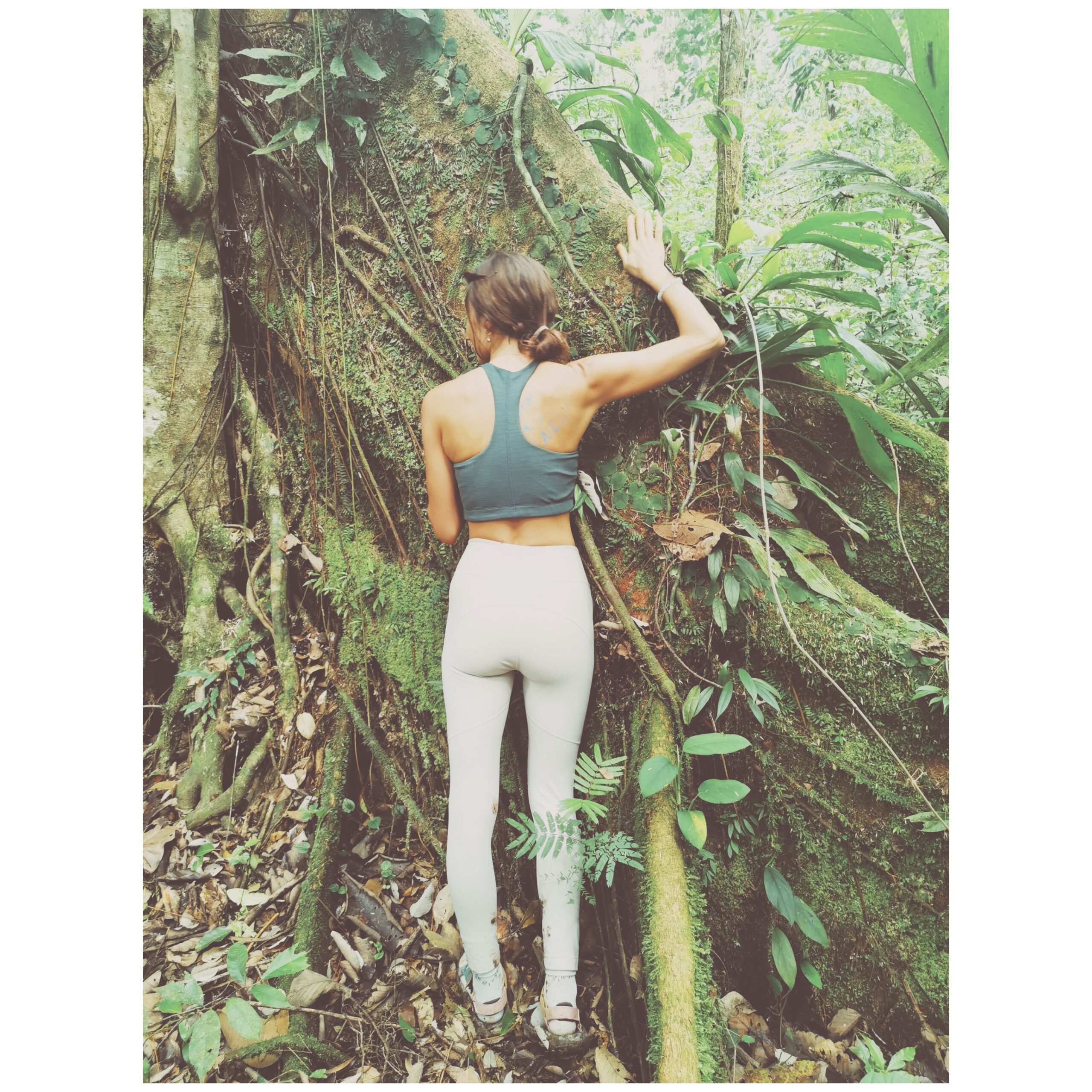 Jungle Mystic New Year