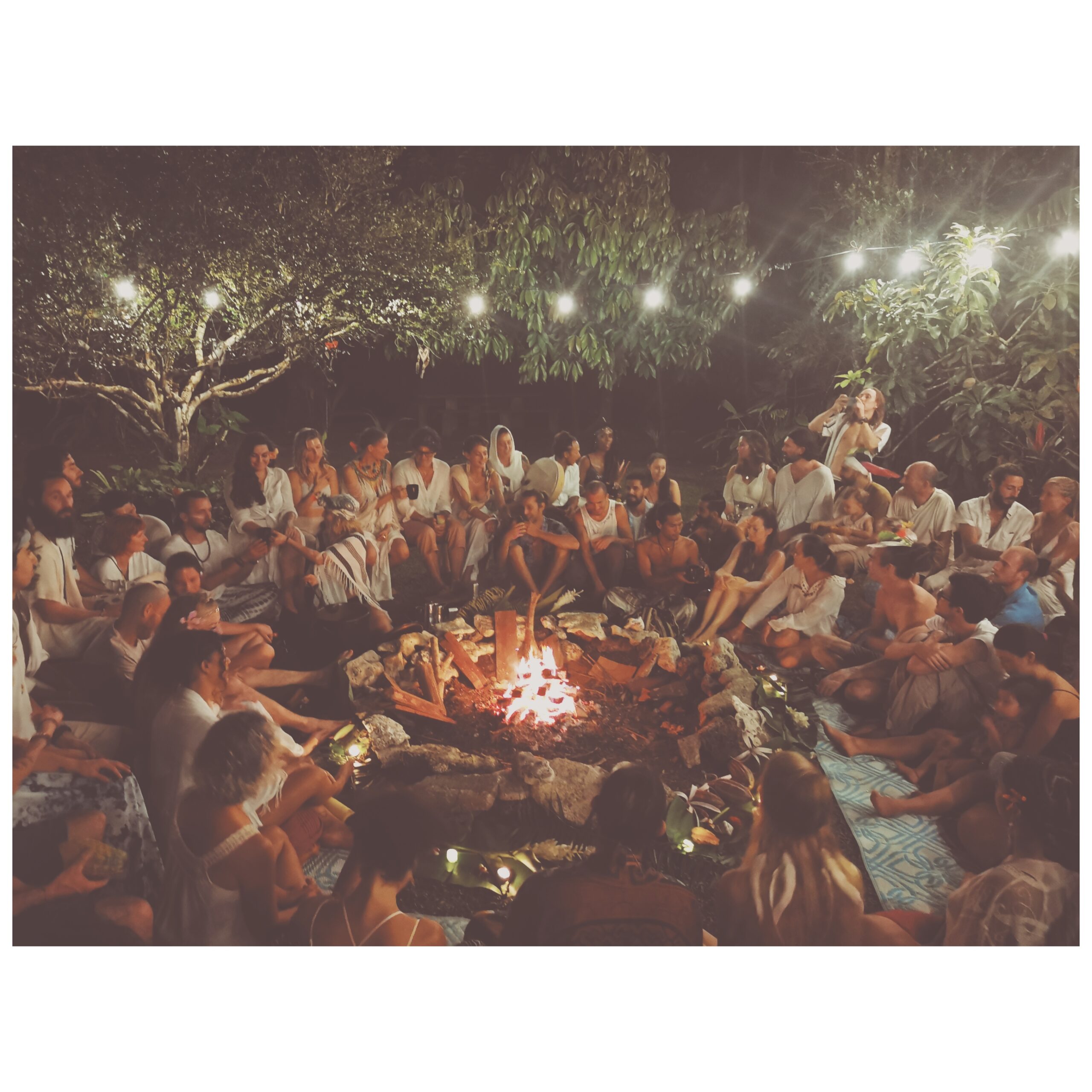 Jungle Mystic New Year
