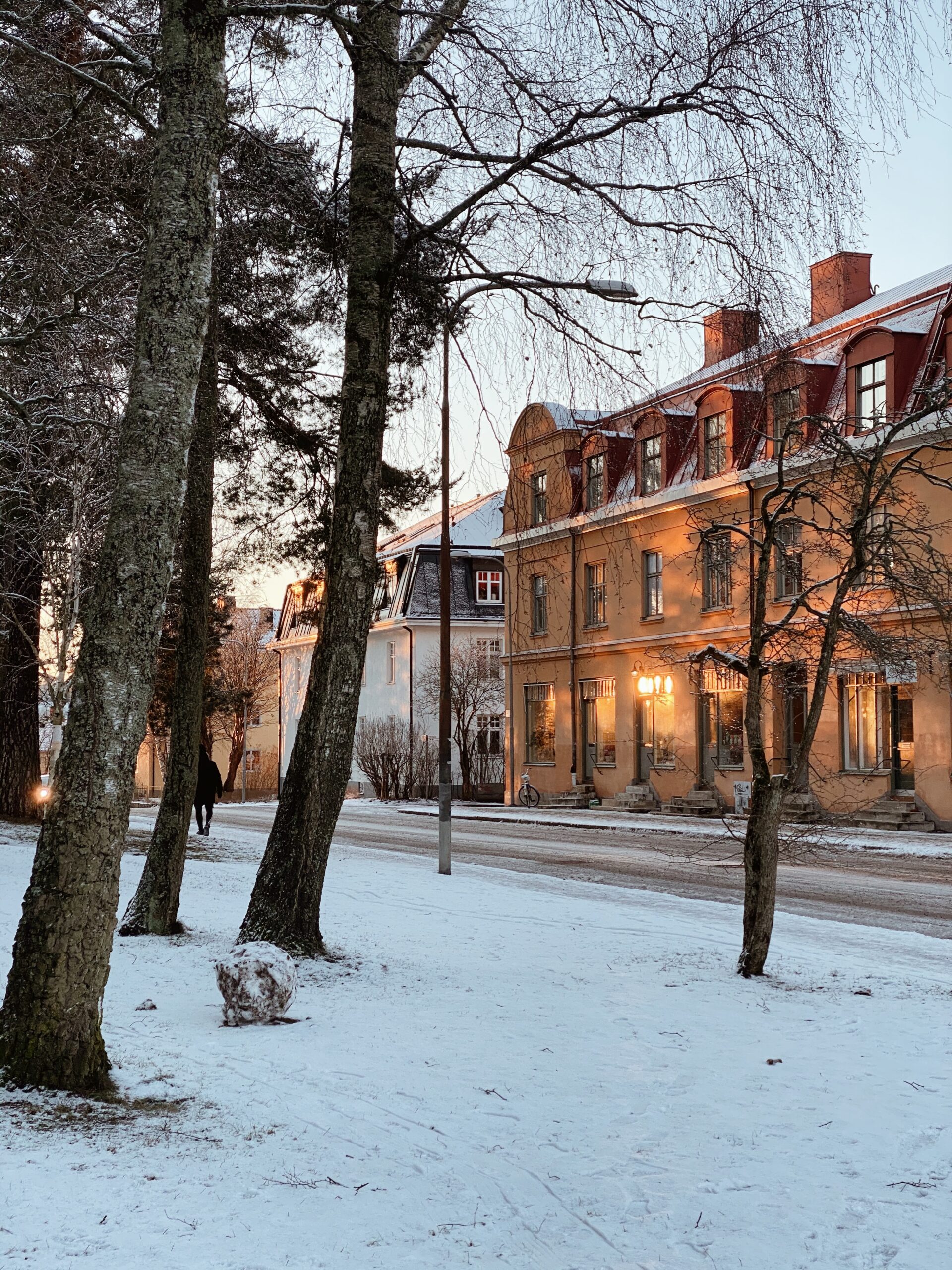 Magiska vinterdagar