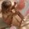 50 kilo citroner, plåtning och staycation