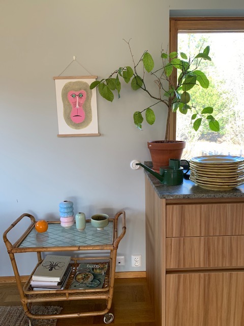 House tour