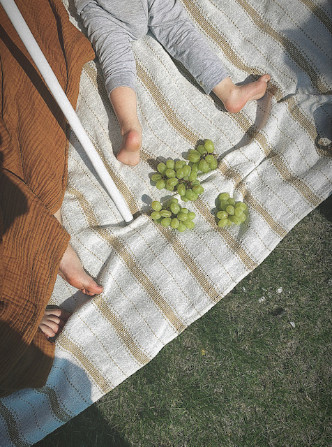 Lets have a picnic