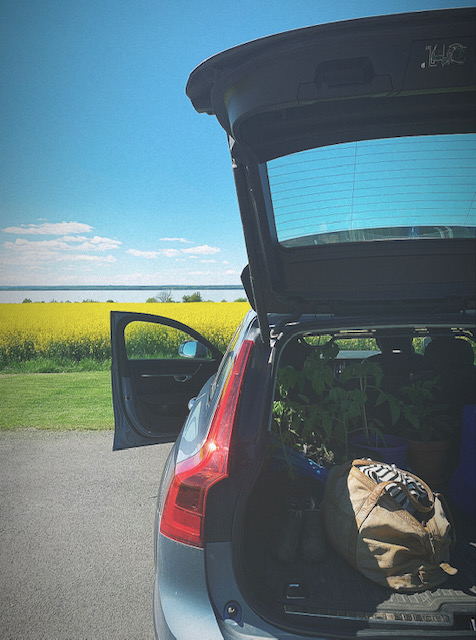 Feel good road trip