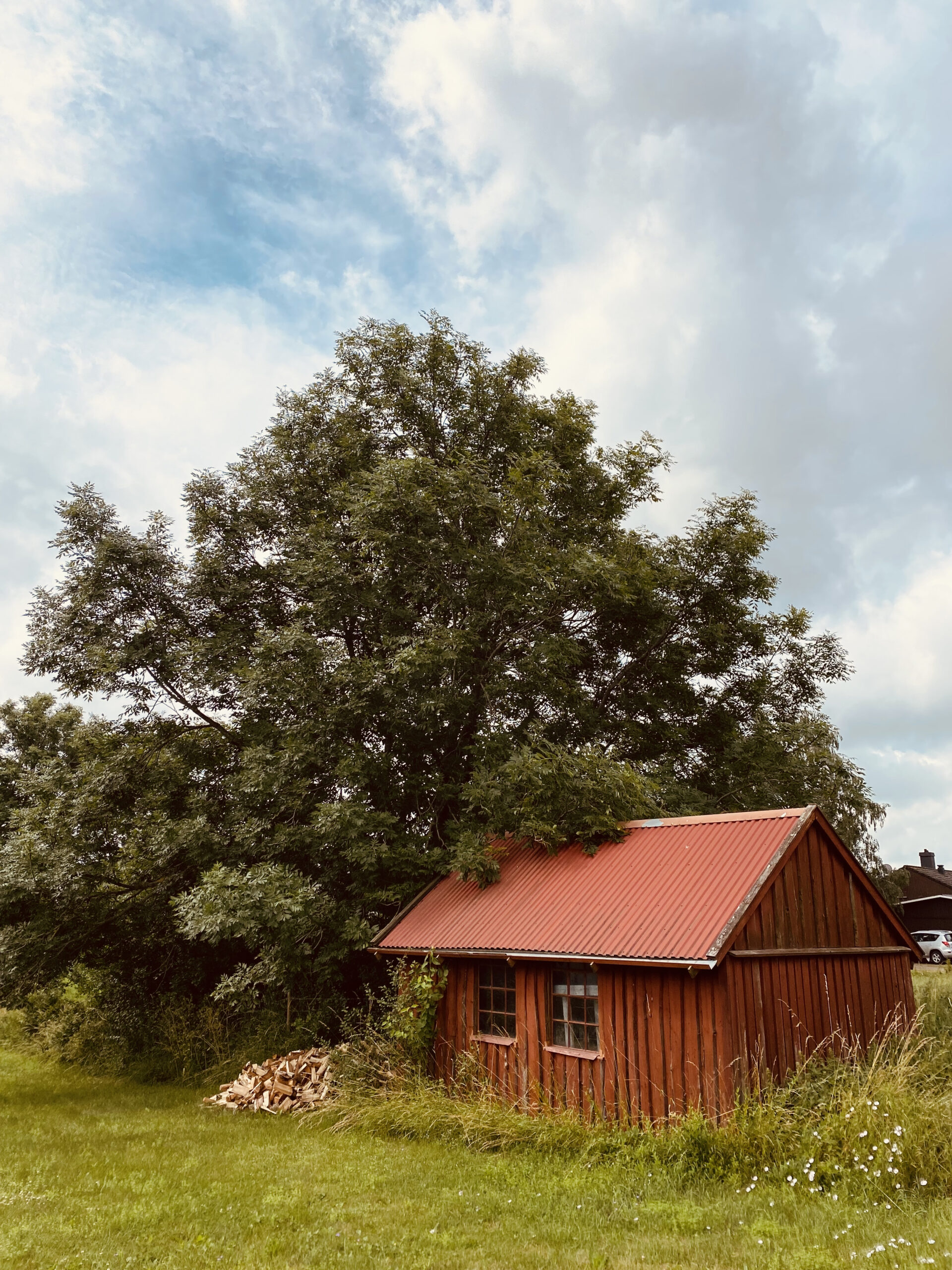 Skåne i mitt hjärta