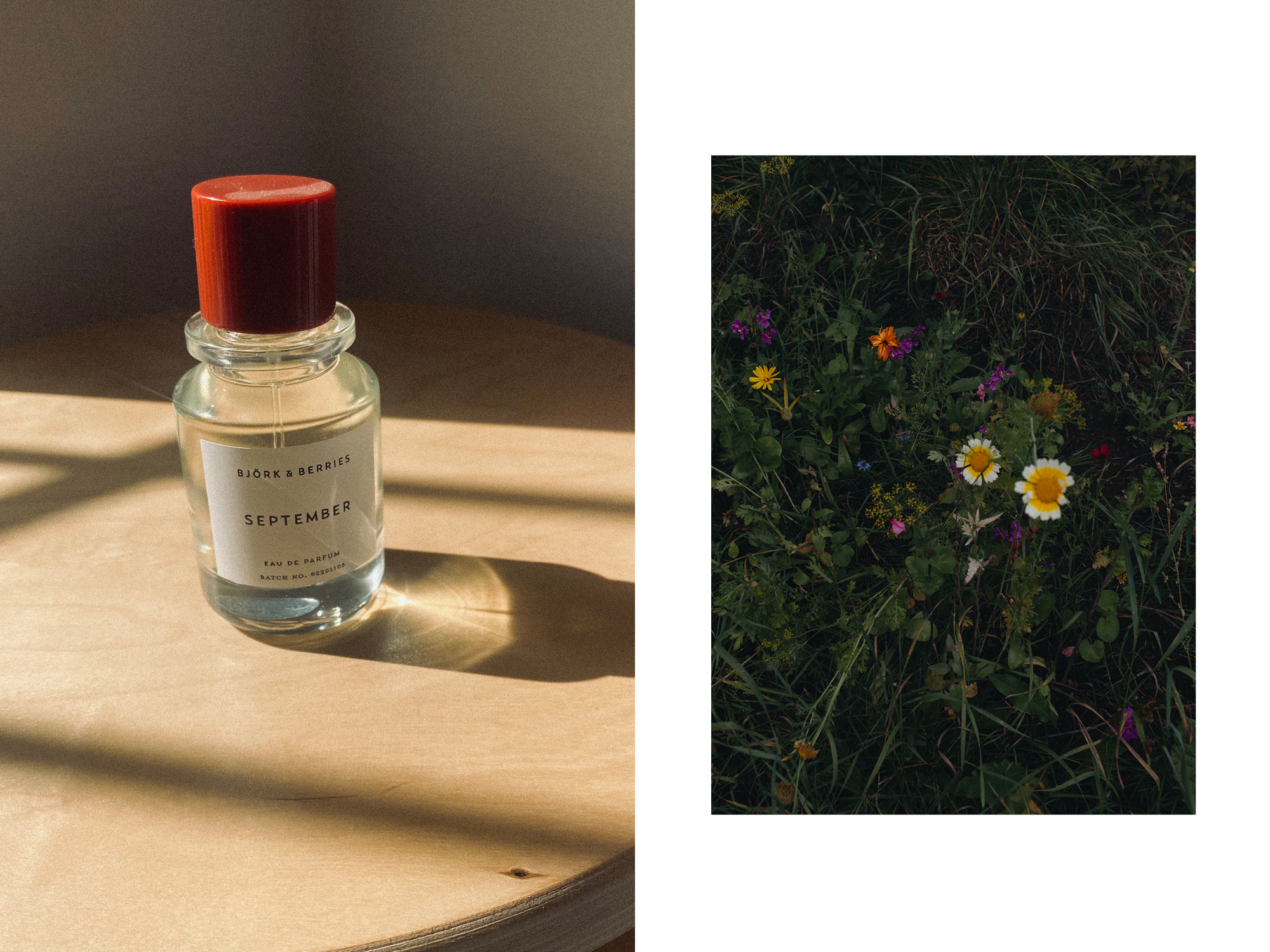 Selected by TWWP: Björk & Berries