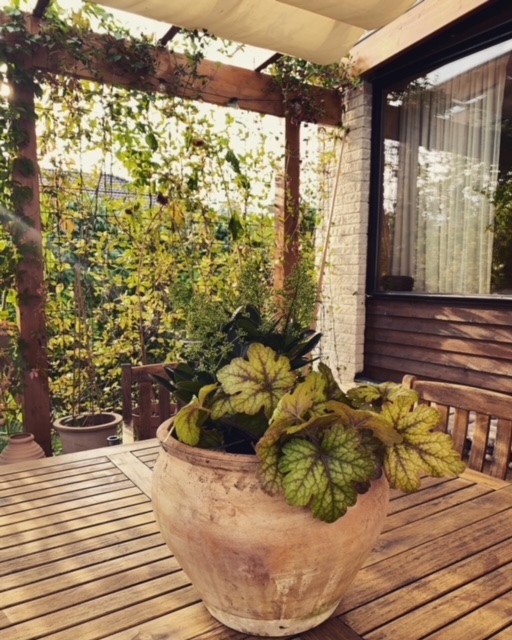 Weekend and the autumn garden