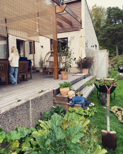 Weekend and the autumn garden