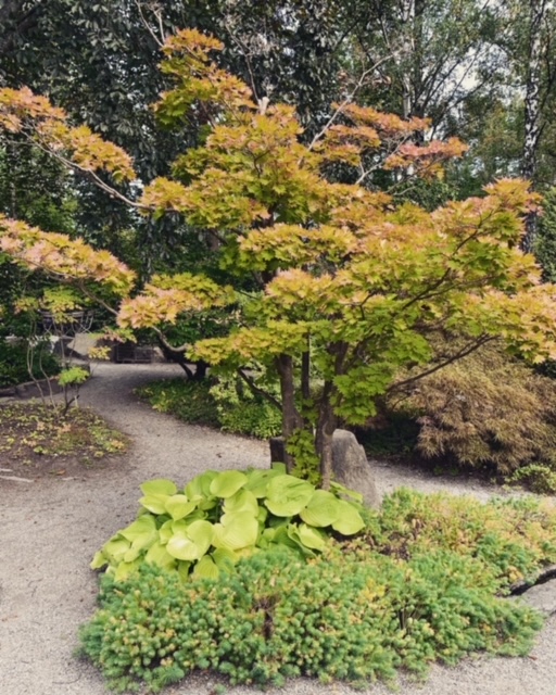 Weekend and the autumn garden