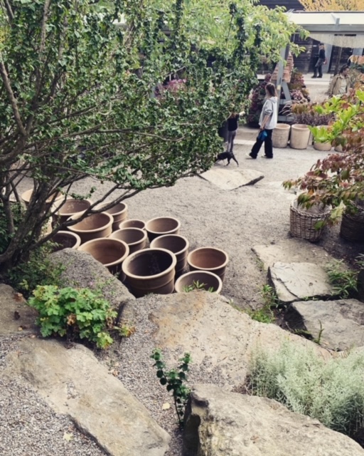 Weekend and the autumn garden