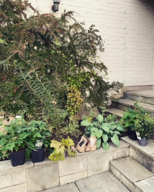 Weekend and the autumn garden