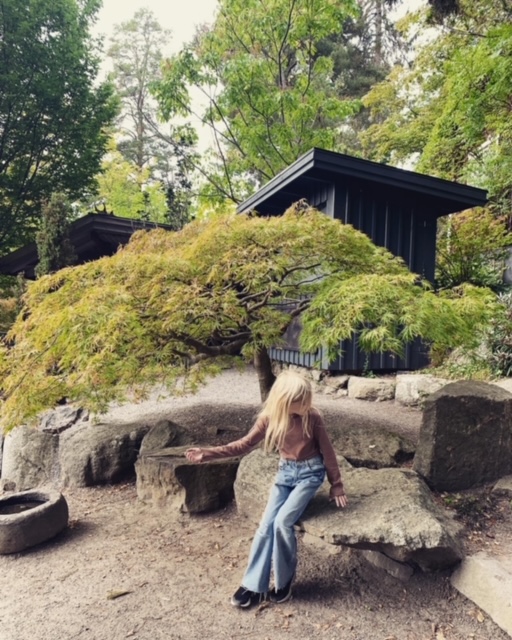 Weekend and the autumn garden