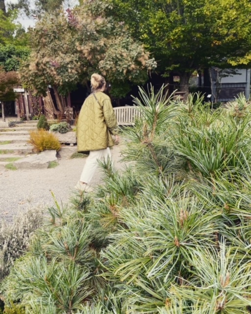 Weekend and the autumn garden