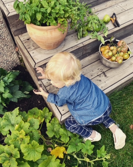 Weekend and the autumn garden