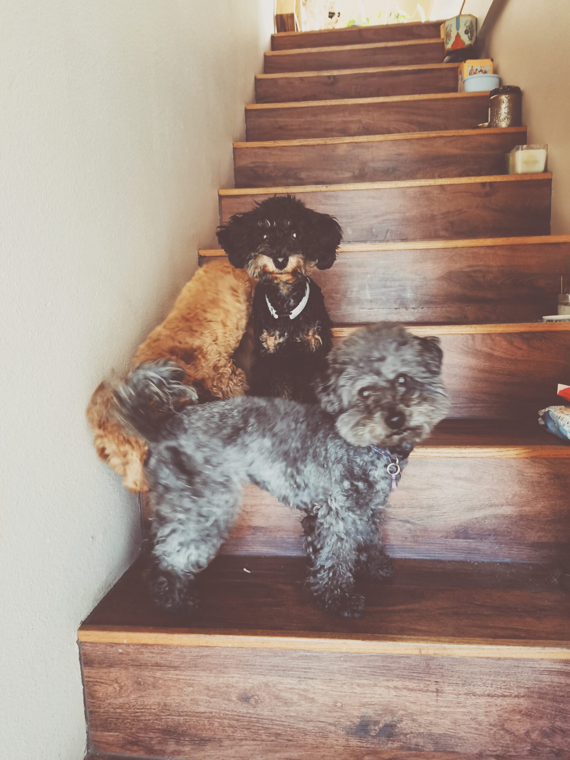 4 days in LA