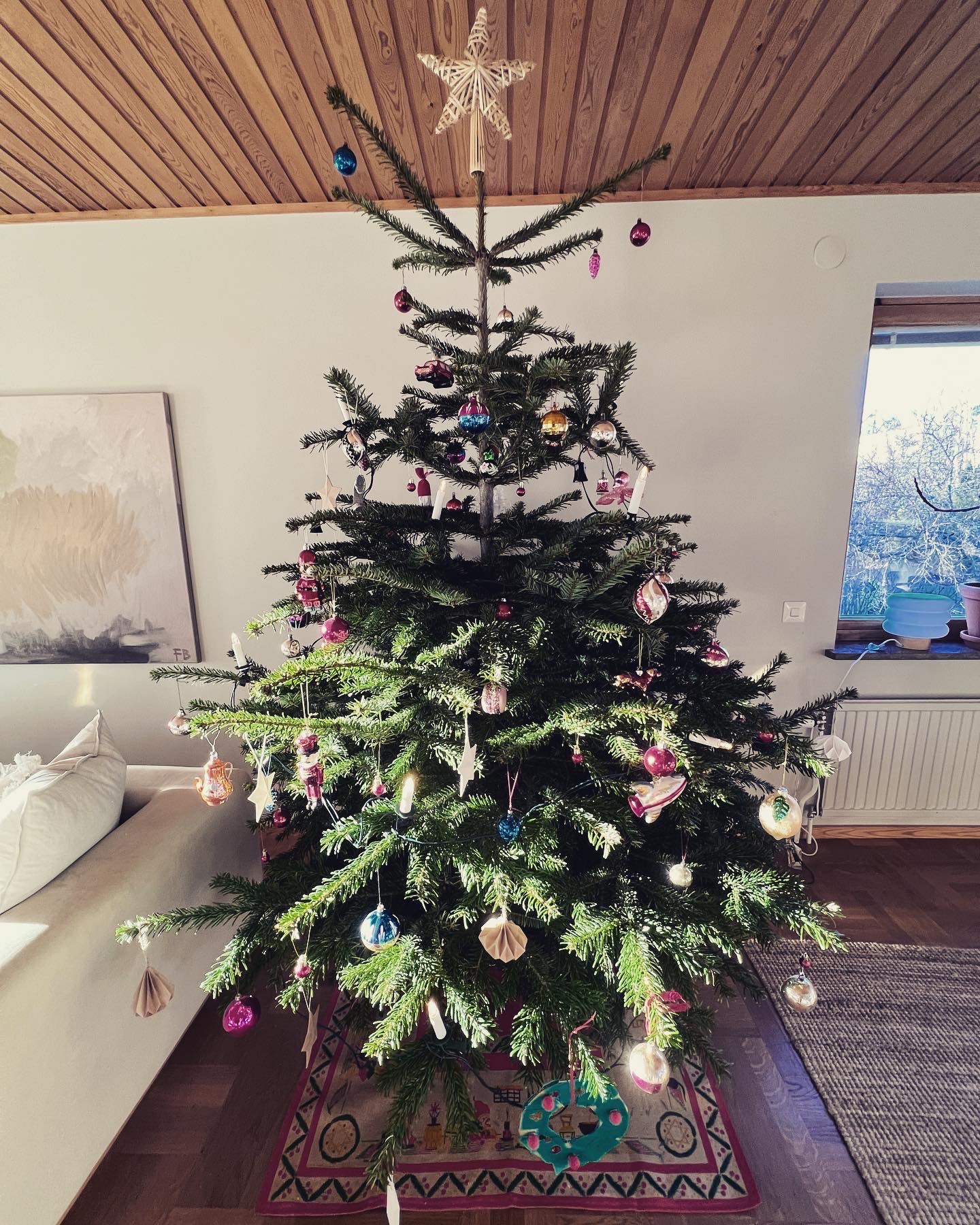 Vårkänslor i december