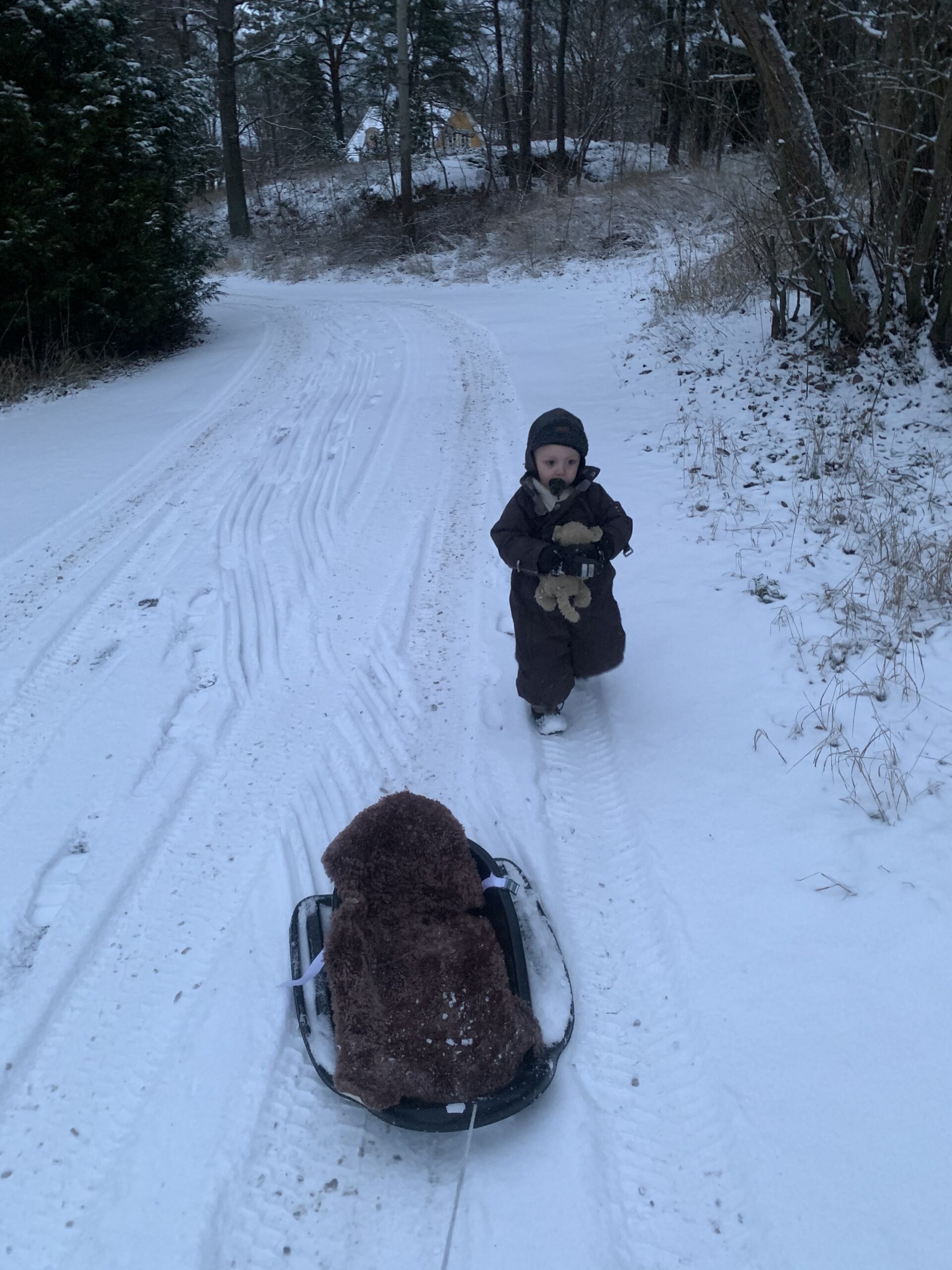 Winter wounderland