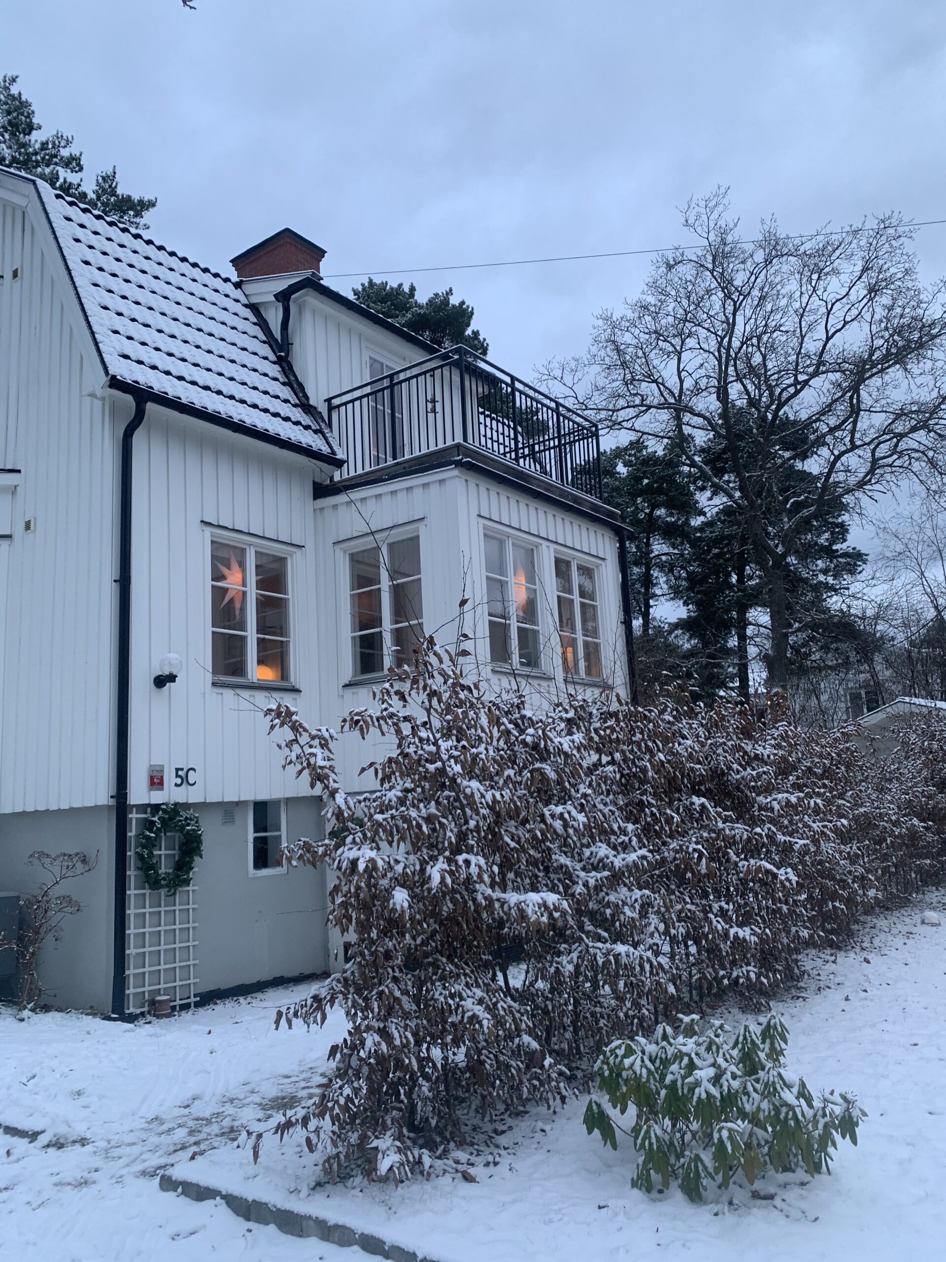 Winter wounderland
