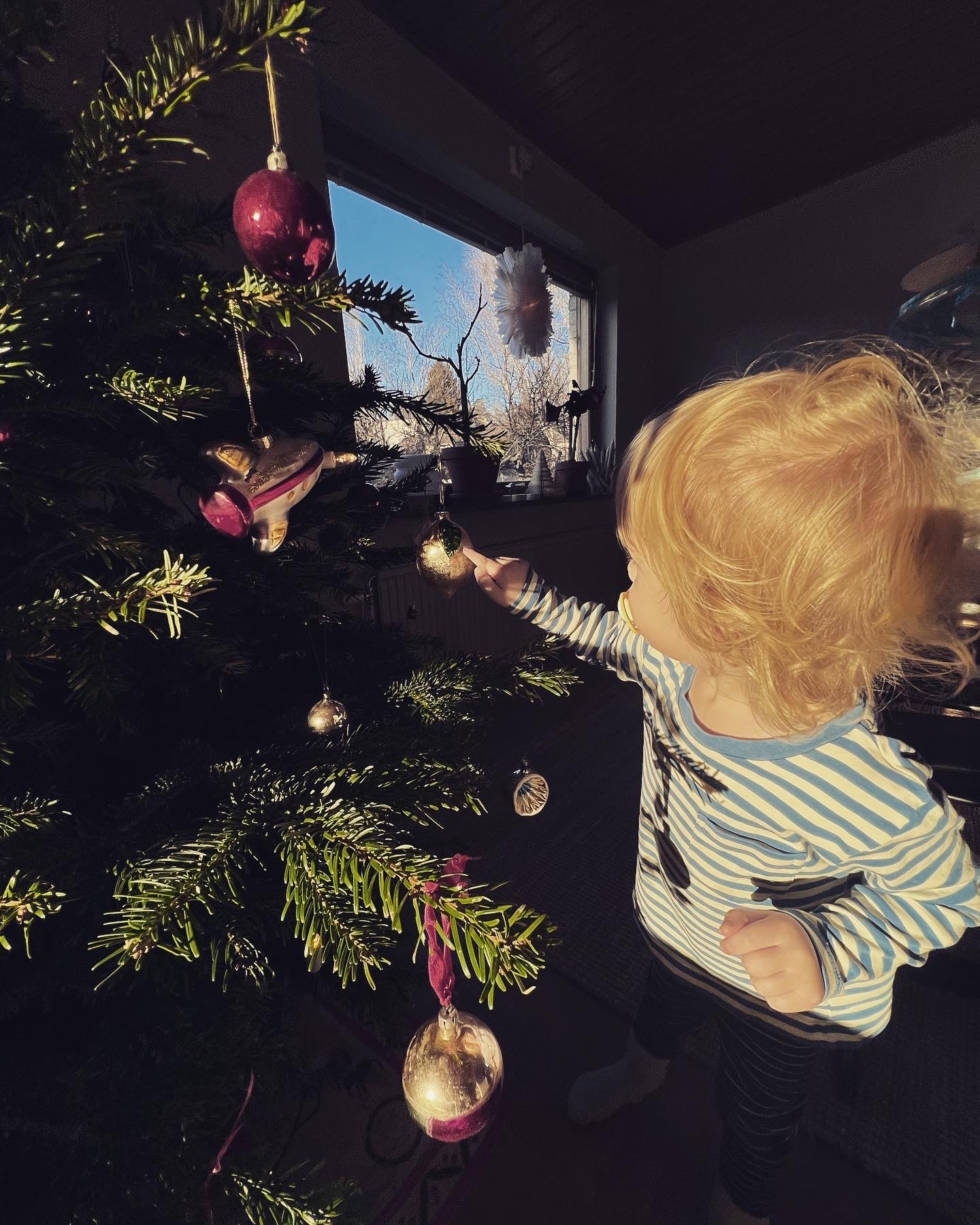 Vårkänslor i december