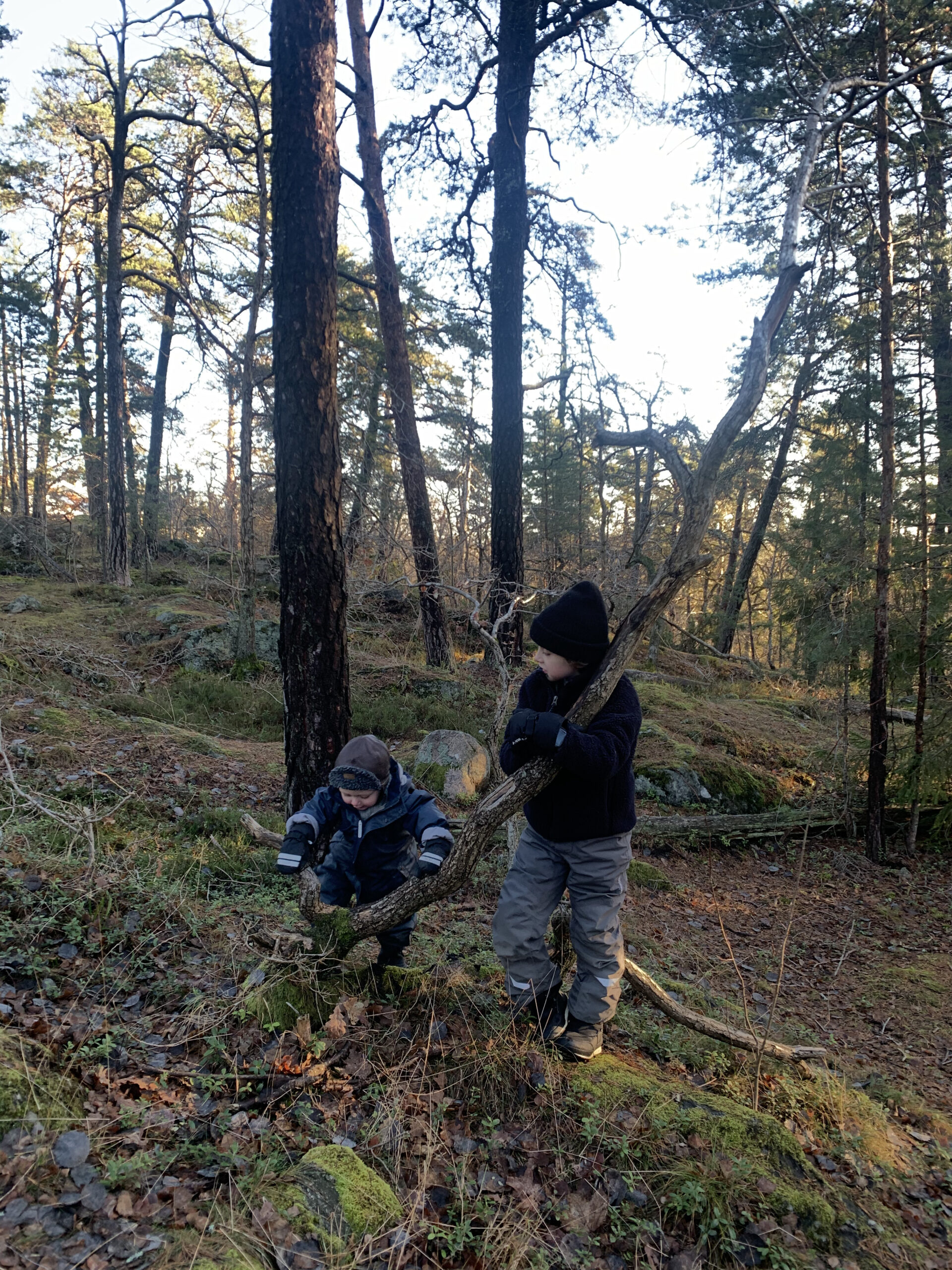 Januari