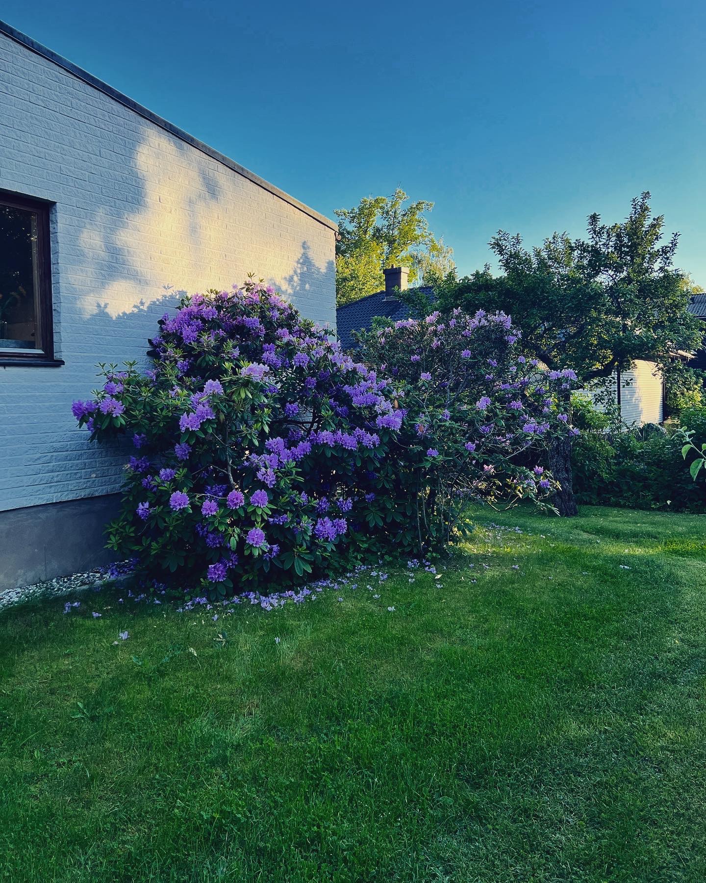 Midsummer weekends