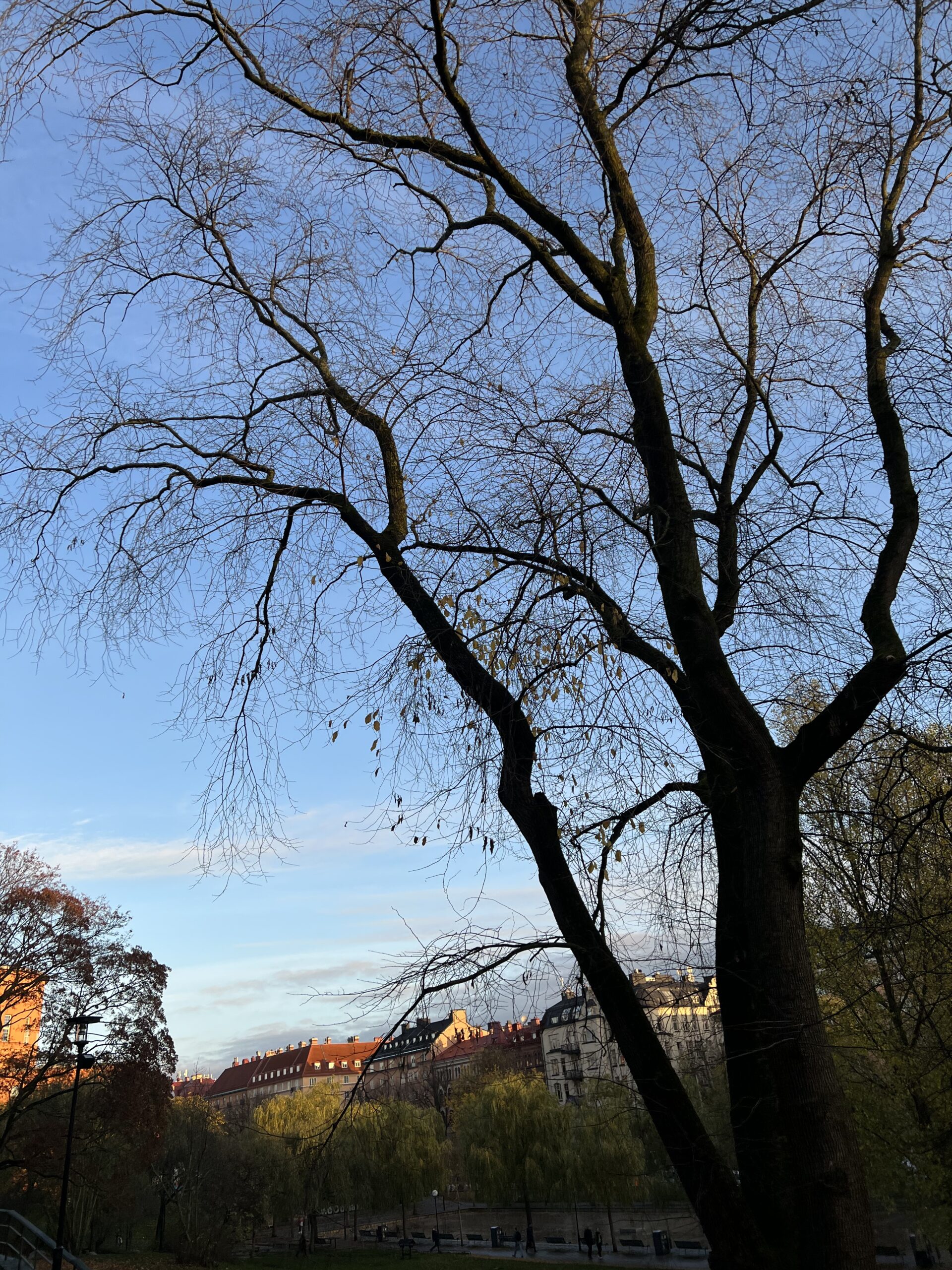 November begins