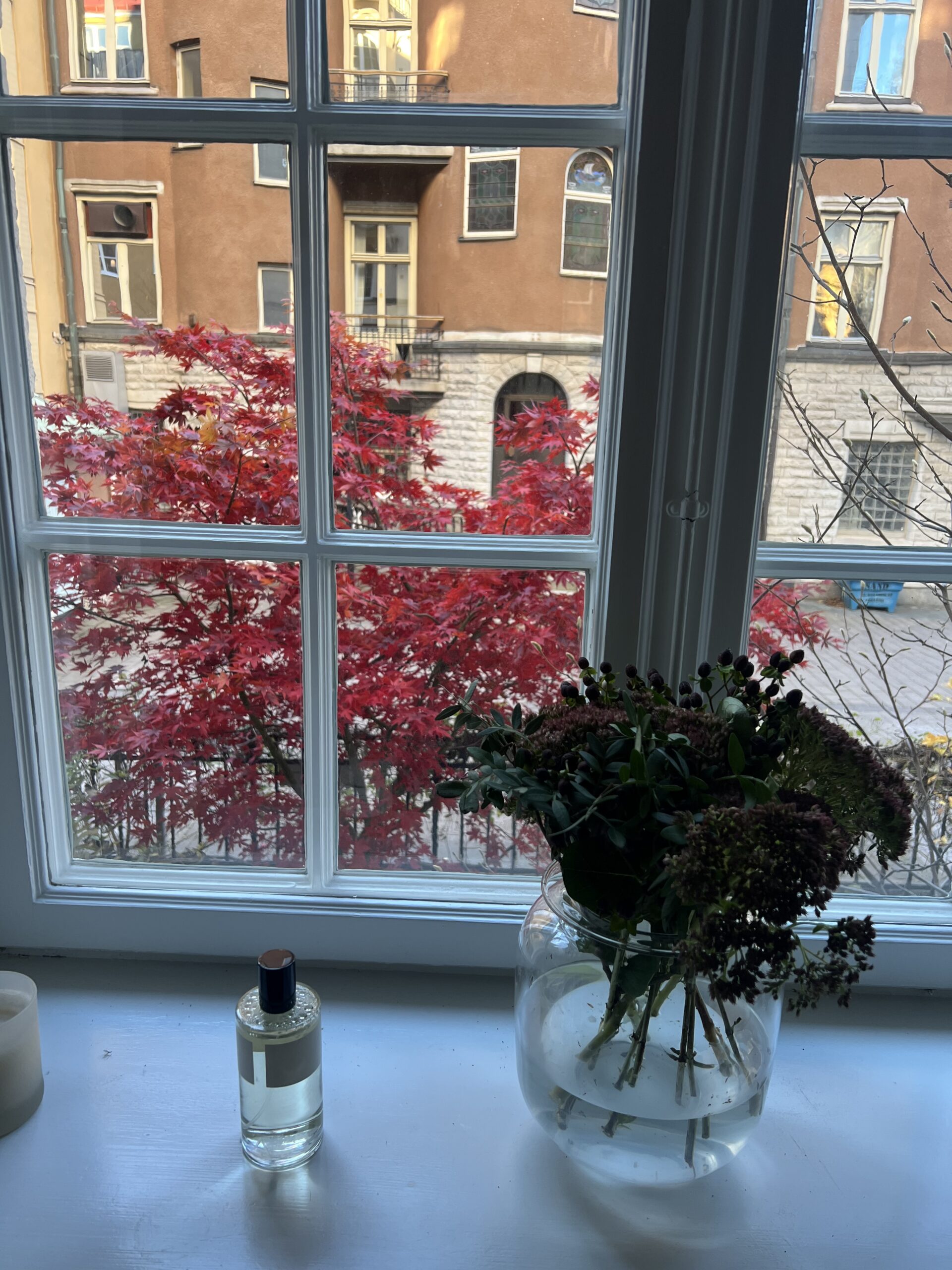 November begins