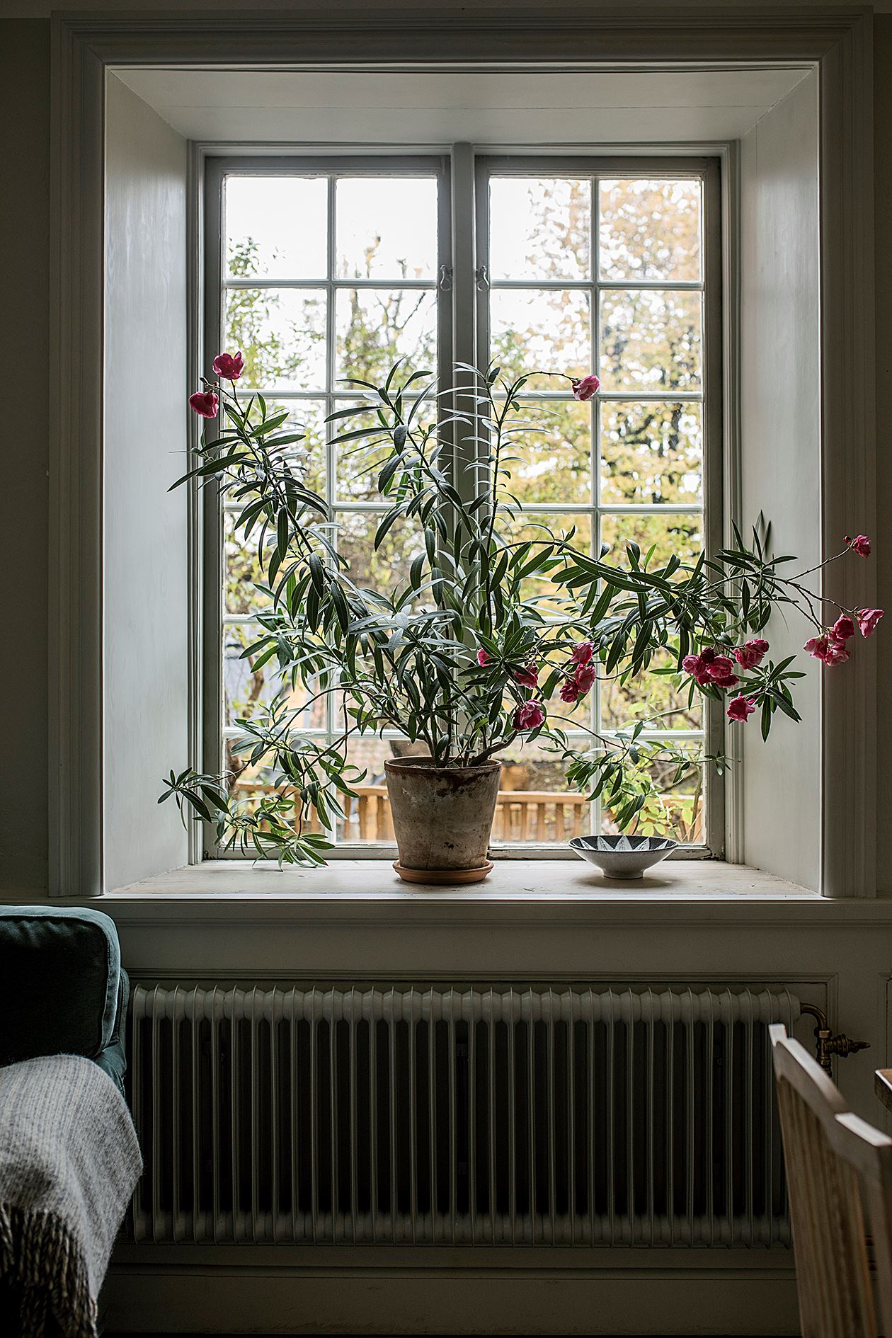 Middag i november
