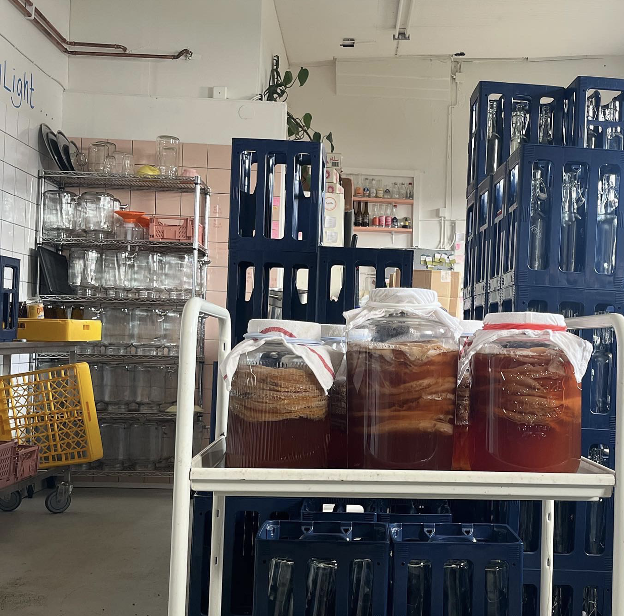 French kombucha