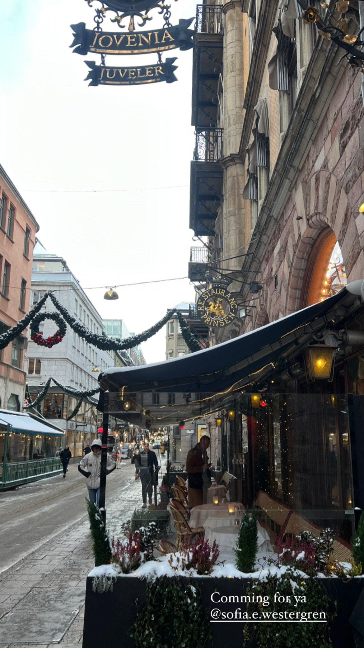 The week before Christmas